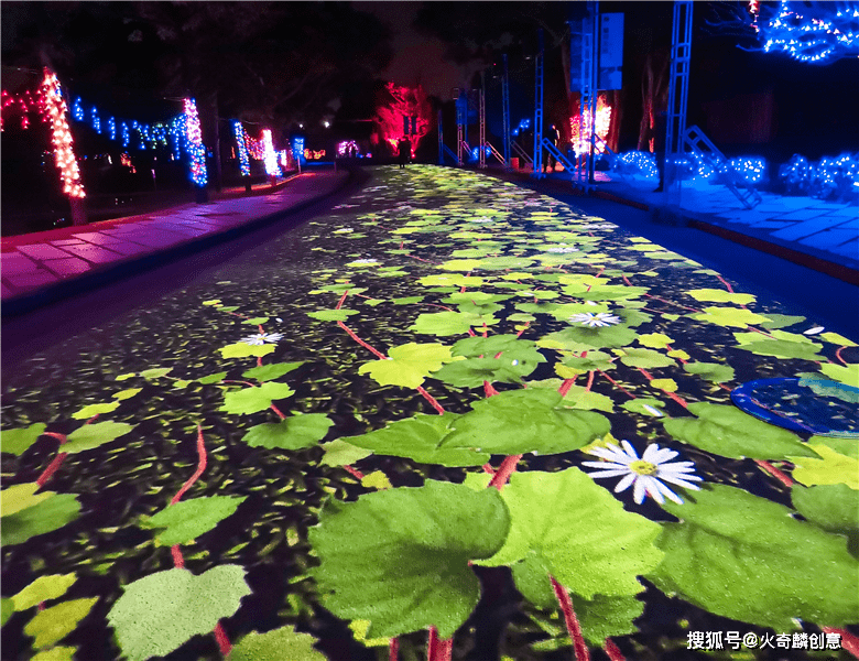 花开地面:画面为一个花池,不需要高瞻远观,只需要看看脚下,一