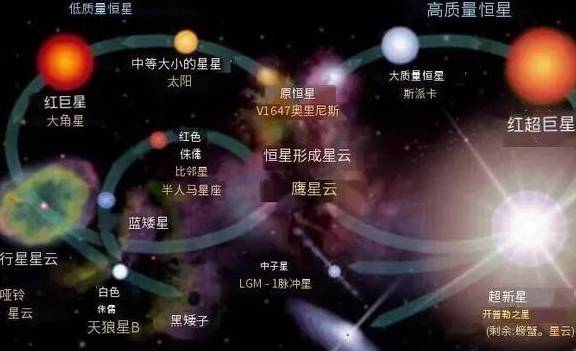 原创蓝特超巨星r136a膨胀成红超巨星后会比盾牌座uy大吗