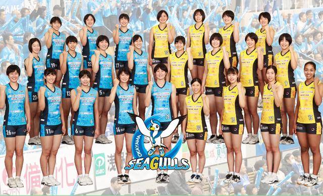 2020日本女排联赛[2022日本女排联赛]