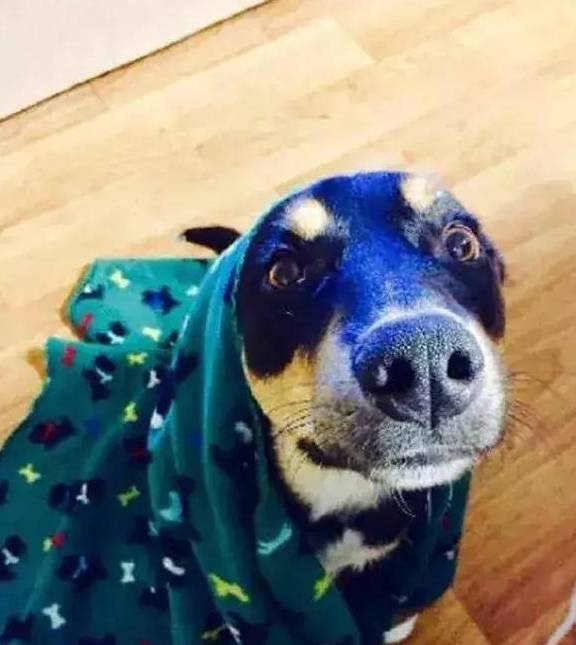 b4795334ce2644d898b7bc33053ac081.jpeg