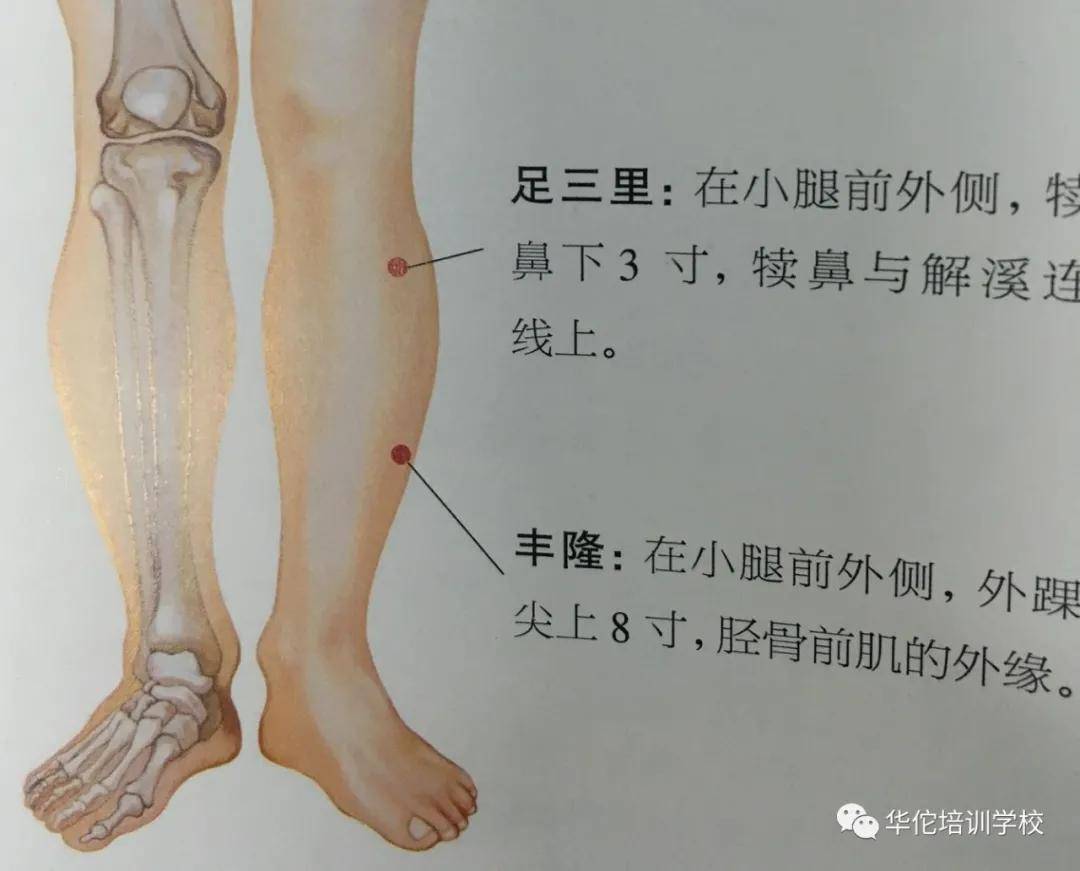 《备急千金要方》记载:"丰隆主大小便涩难",丰隆穴为足阳明之络穴