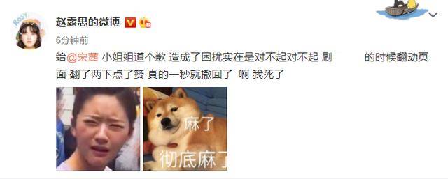 赵露思道歉并互关，宋茜回应提名下降，吐槽3