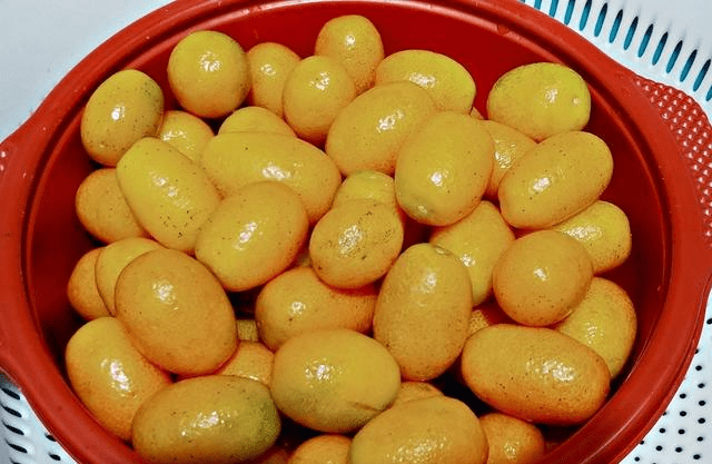 d43a55f158714bedb4b398de3aa411fe.png