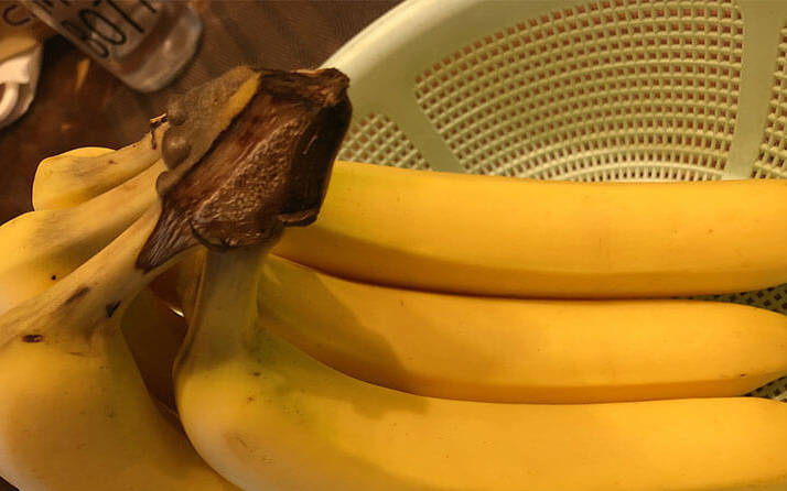 还没熟的香蕉可以吃吗如何催熟香蕉