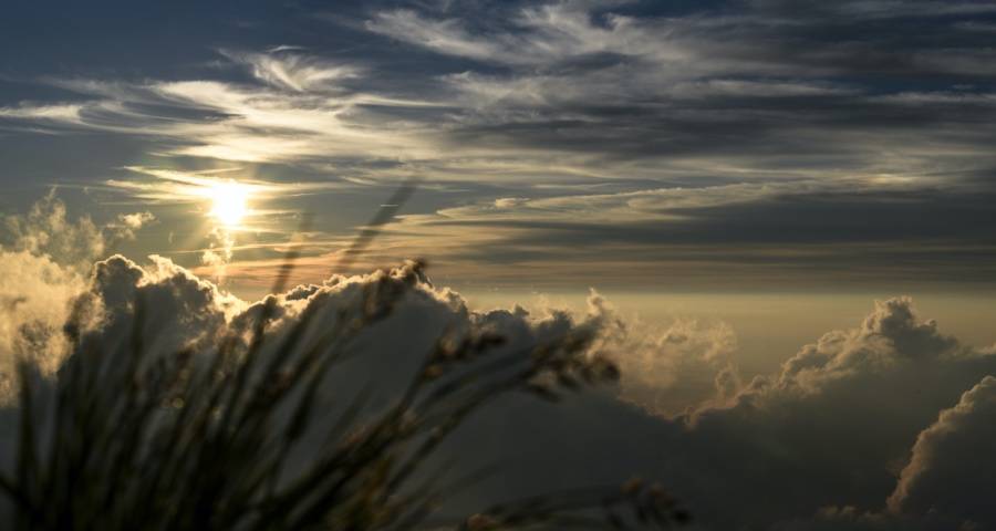 家电线下双11来了!美的格力海信方太奥克斯格兰仕备战忙-家电圈官网