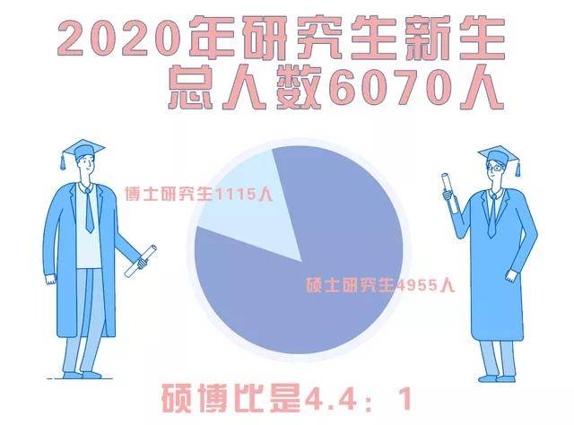 新生|2020年研究生新生大数据分析