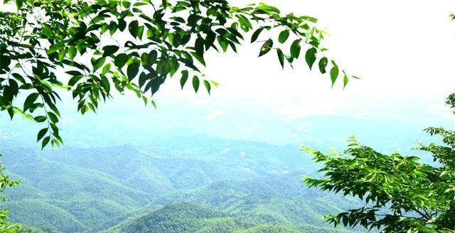 常德gdp主要靠什么_常德何雨初擅长什么病