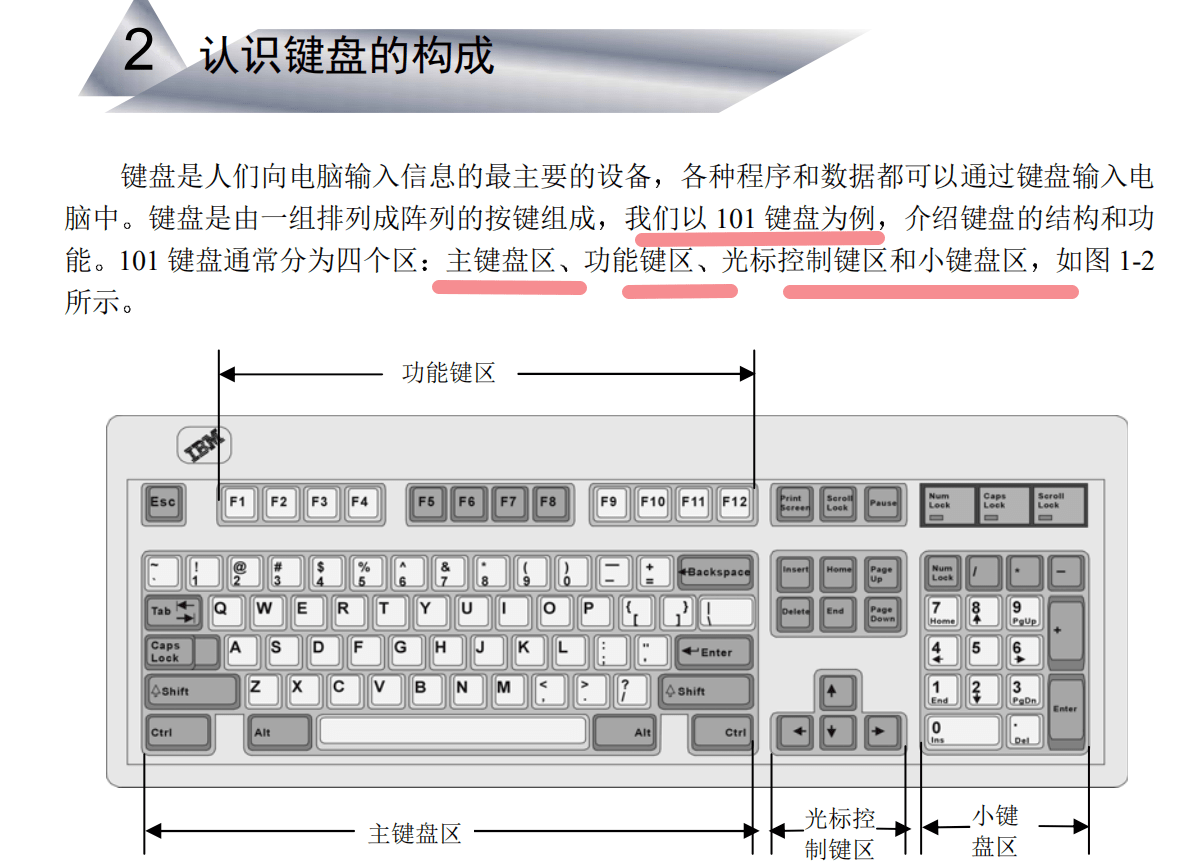认识电脑输入设备键盘的构成,功能区,主键盘区,光标区,小键盘区的功能