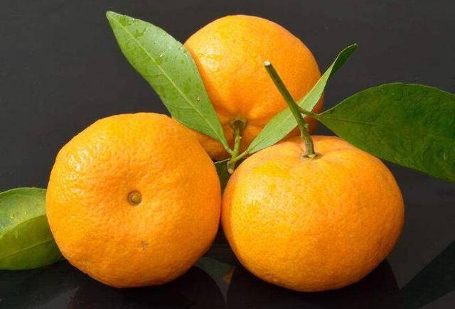 酸酸甜甜,富含维c 一个橘子相当于5味药~~ 秋天必须得来几个!