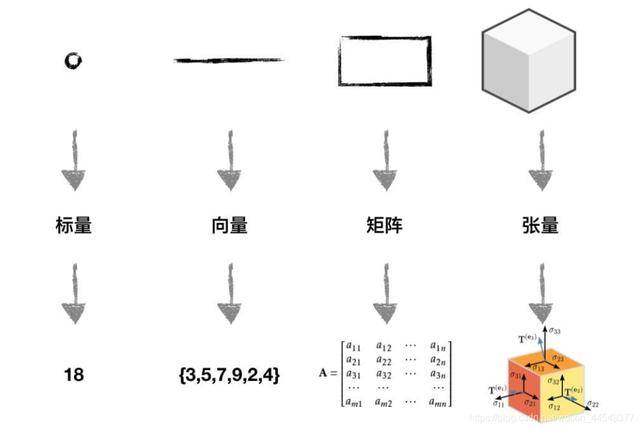 向量和标量转换的原理是什么_幸福是什么图片