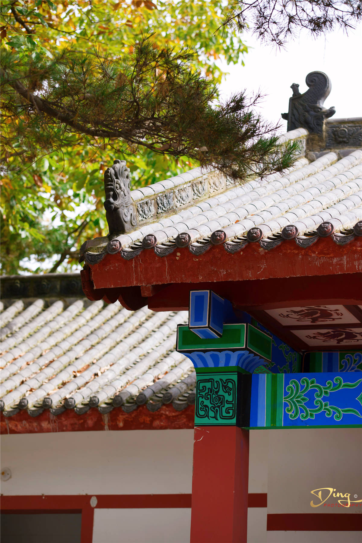 张良|汉朝张良为何隐居洛阳这个地方？白云山下真的有仙气吗？