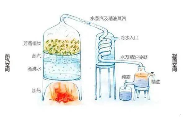 水蒸汽及水蒸馏法