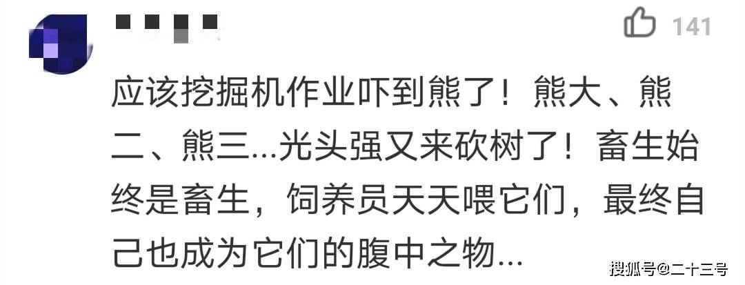 太可惜了！上海被熊咬身亡的饲养员才26岁