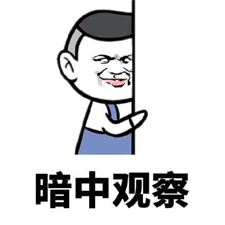 暗中观察表情包合集