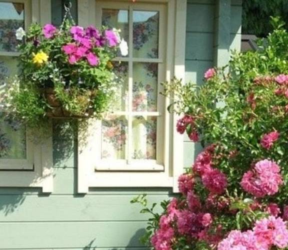 蔷薇和月季花是同一种吗 58c2508a2378482892fba300de9ca7a1.jpeg