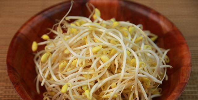 怎么种黄豆芽菜 e4fc9e84e4c5415ea2aa54b36b3c93a1.jpeg