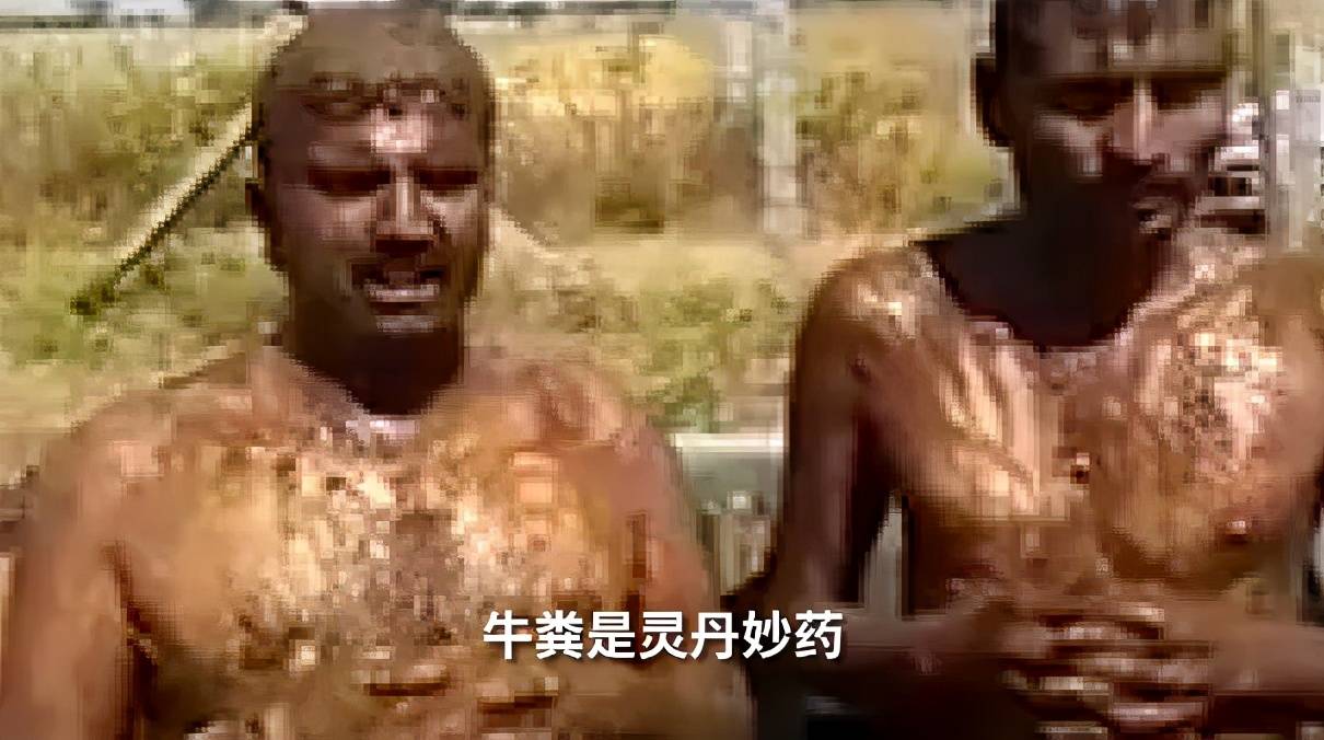 印度官方发明的牛粪芯片，那味儿实在太冲了