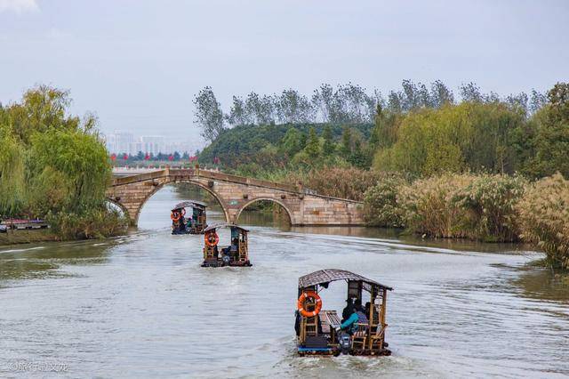 坐手摇船，沙家浜风景区的一大特色，深入芦苇迷宫还能看到野鸭_故事