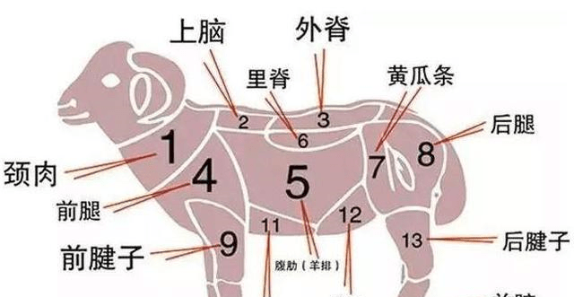 im电竞官方网站入口：
从南数到北 那里的羊肉最好吃？来看看你家乡的羊肉排名第几？(图1)