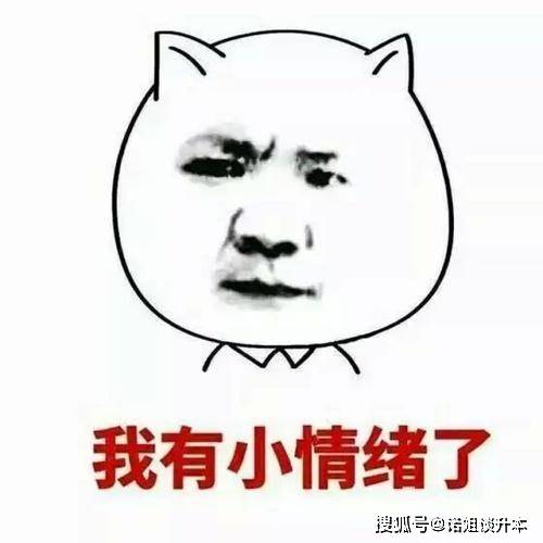 828e3d8be6c045fb88b6fe978b2304c8.jpeg
