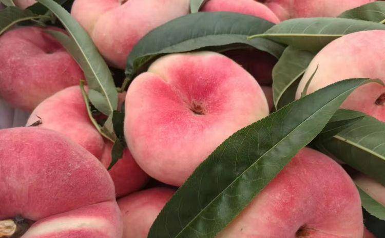 桃子怎么画简单又好画 9f95f497b7a144099d884cff08522c48.jpeg