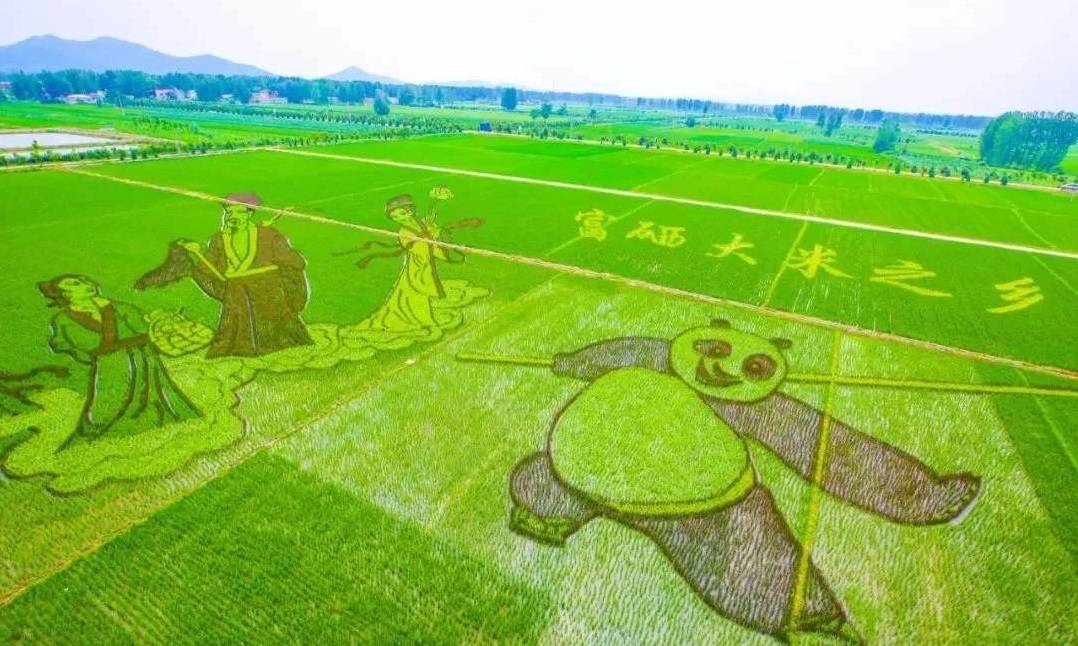 看《我和我的家乡》中的稻田画,了解特色农业怎样帮助