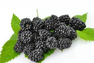 8c3ff497faef4145a0275f0f540fd8ad.jpeg