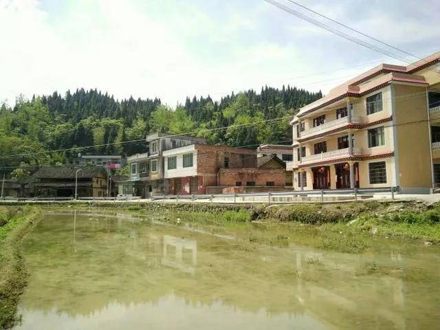 知识科普|雍正王朝梅山第一将陈五云（彭成）传略