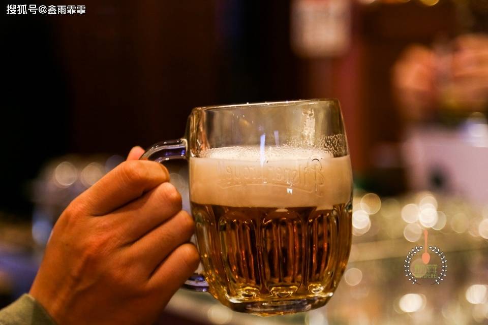青岛人均啤酒_青岛啤酒图片(2)