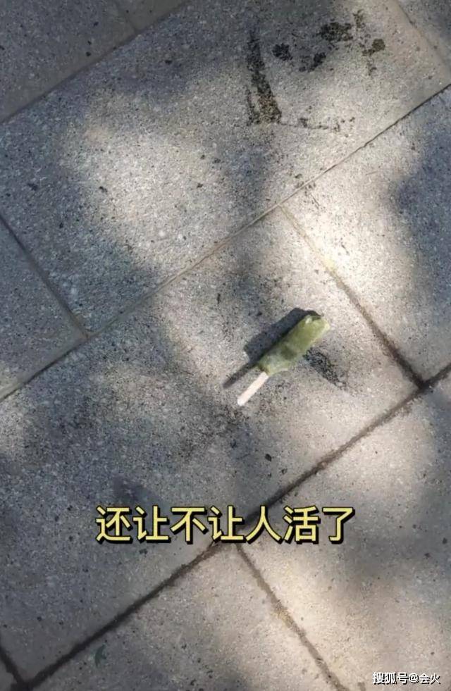 网友|原创李琦因糖尿病无法吃冰棍发飙怒摔？被指浪费可耻，65岁患多种疾病