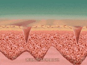 毛孔|权志龙，你真的不能再整了啊...