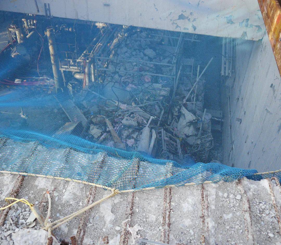 日本倾倒核废水，缺德 | 地球知识局