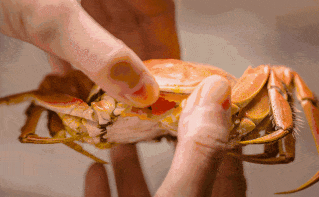 b7187622ec784c7faabd109b84893a52.gif