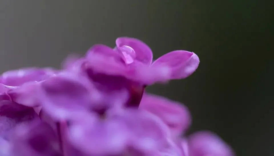 原A.O.史密斯丁威首次跨界，出任恒洁卫浴CEO-家电圈官网