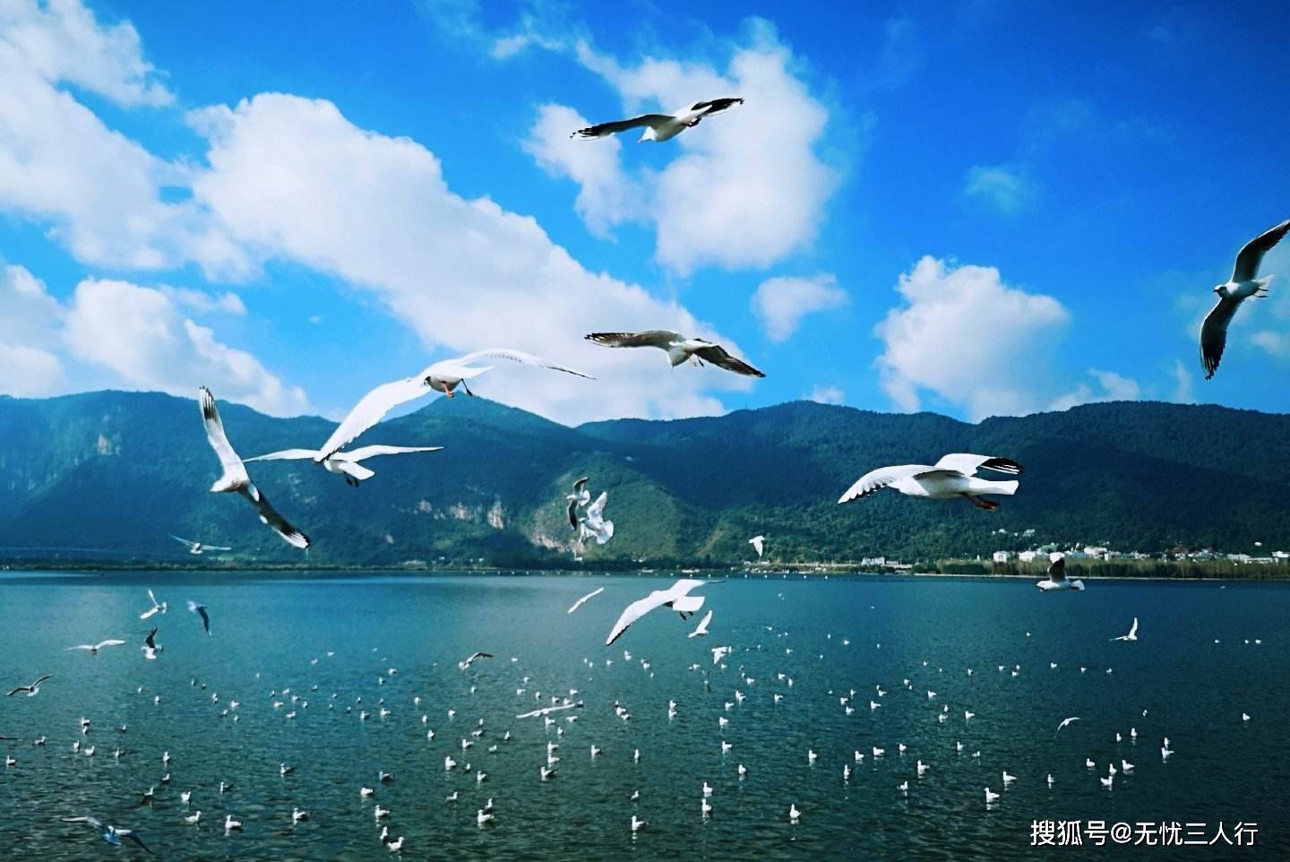 最美的风景在云南 ,最美的季节在昆明 .