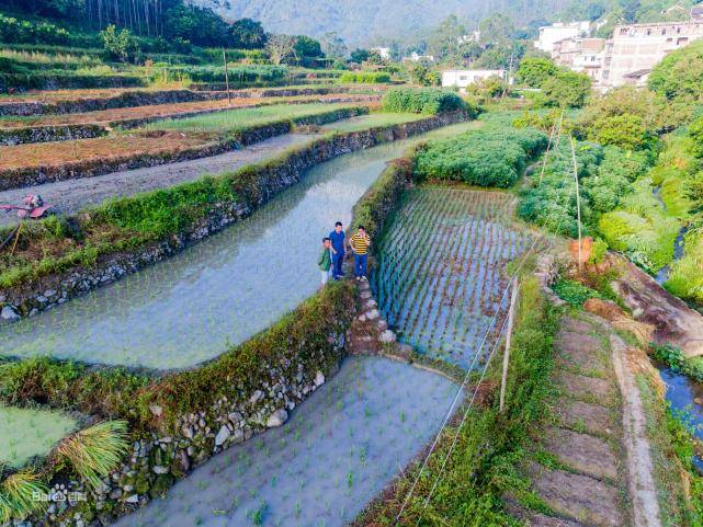 董团乡仙山村有多少人口_武鸣锣圩镇仙山村公章(2)