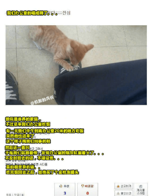 3c00770d73d74b9b88fc0afdfc68b372.png