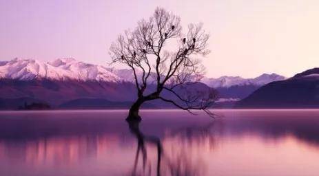 专业|为何要坚定的选名牌大学，而非选王牌专业！