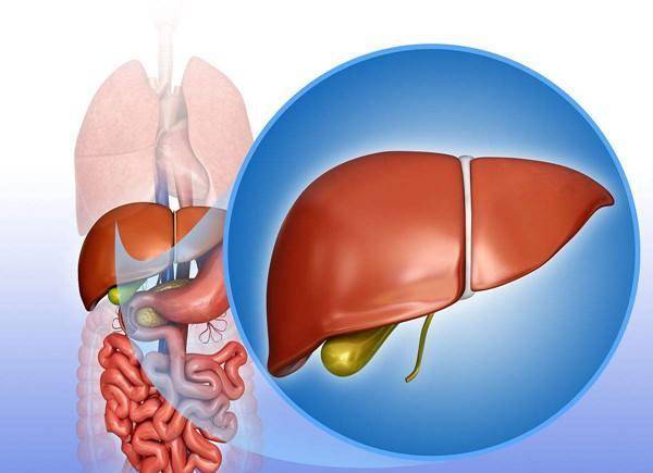 吃什么东西补肝最快最有效 e9030ef7039c43e0891e6b82de0609f4.jpeg