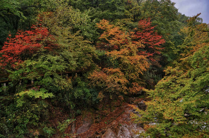 四川藏不住的小众秋色，一到秋天，这里就是被打翻的调色盘_红叶