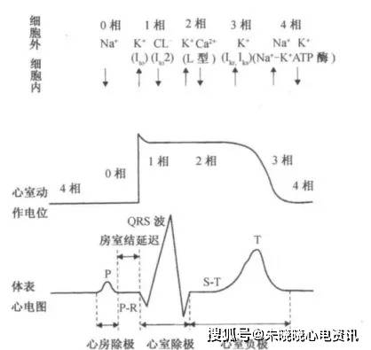 心电图stt改变的临床问题