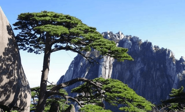 中华十大名山,天下第一奇山,中国十大风景名胜中唯一的山岳风光