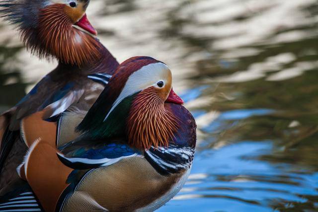 朱元璋|朱元璋登基前的王府，新白娘子传奇取景地，江南4大名园之首