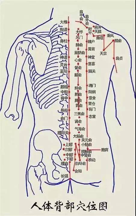 打个比方:人体就像广袤的大地,经络系统就好比是大地上的江河湖海