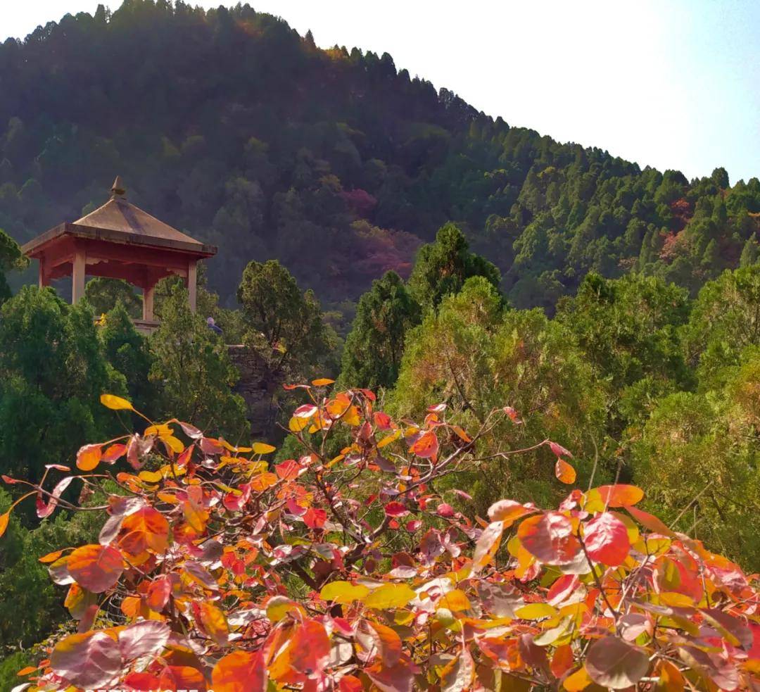 秋游济南秘境佛峪大峡谷 秋游济南秘境佛峪大峡谷