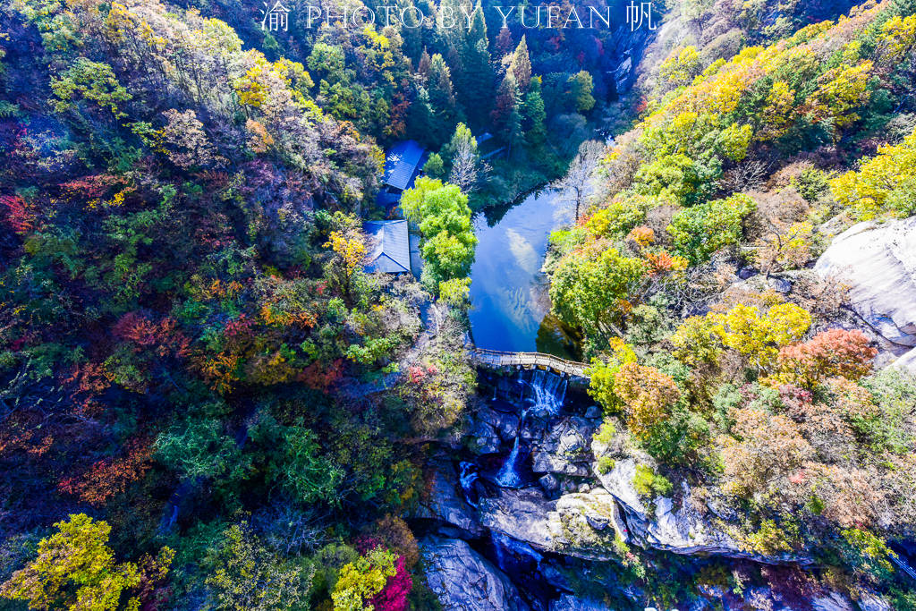 河南的九寨沟，洛阳的白云山，有山有水有诗意，已迎来最美的秋色
