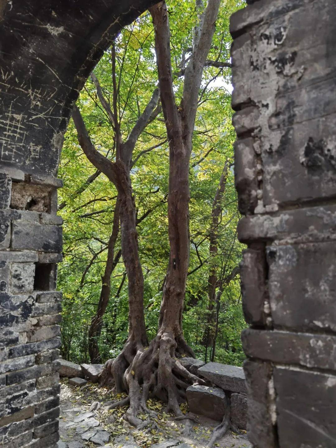 秋游济南秘境佛峪大峡谷 秋游济南秘境佛峪大峡谷