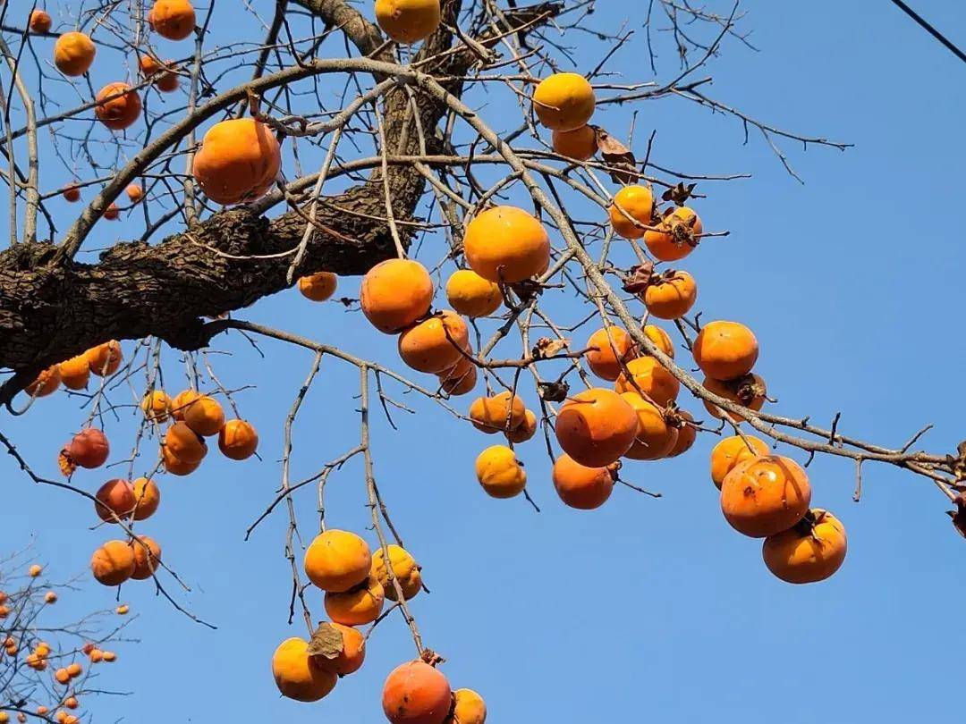 秋游济南秘境佛峪大峡谷 秋游济南秘境佛峪大峡谷