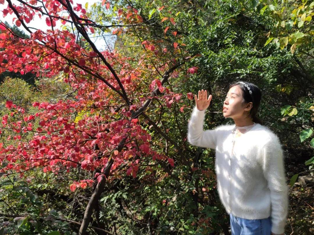 秋游济南秘境佛峪大峡谷 秋游济南秘境佛峪大峡谷