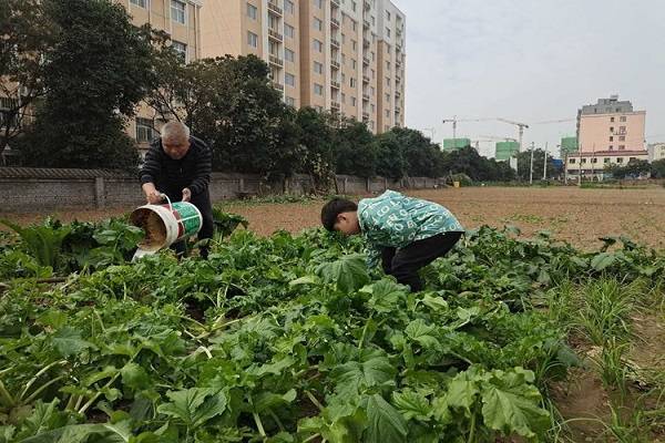 慈周寨小果园多少人口_果园卡通图片(2)